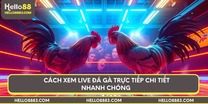 Cách xem live đá gà trực tiếp chi tiết nhanh chóng