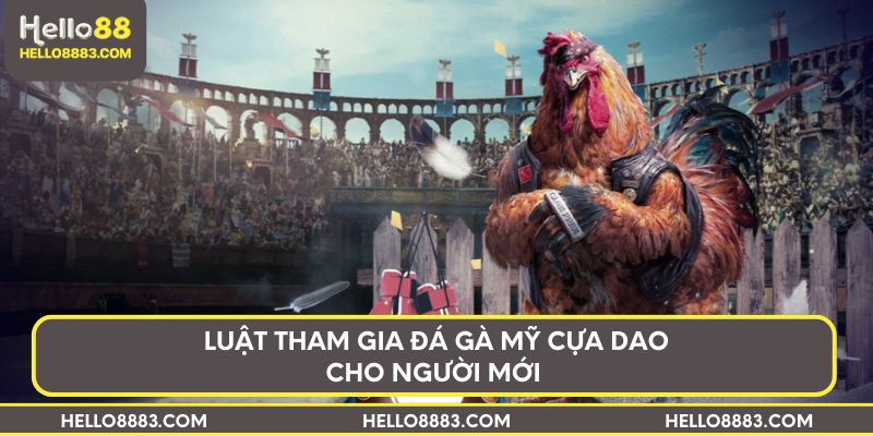 Luật tham gia đá gà mỹ cựa dao cho người mới