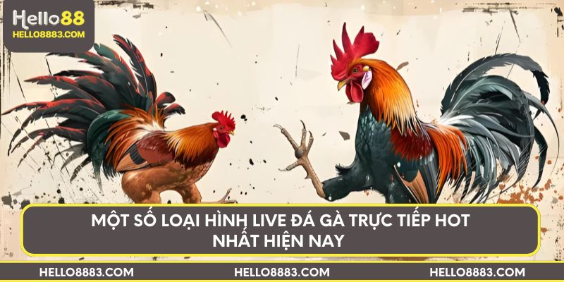 Một số loại hình live đá gà trực tiếp hot nhất hiện nay
