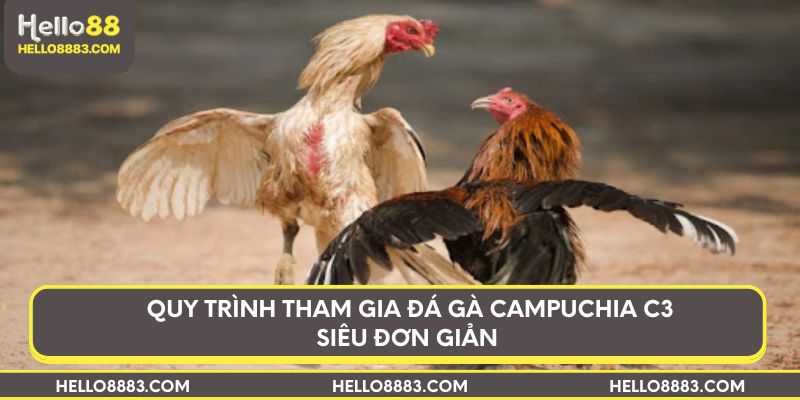 Quy trình tham gia đá gà Campuchia C3 siêu đơn giản
