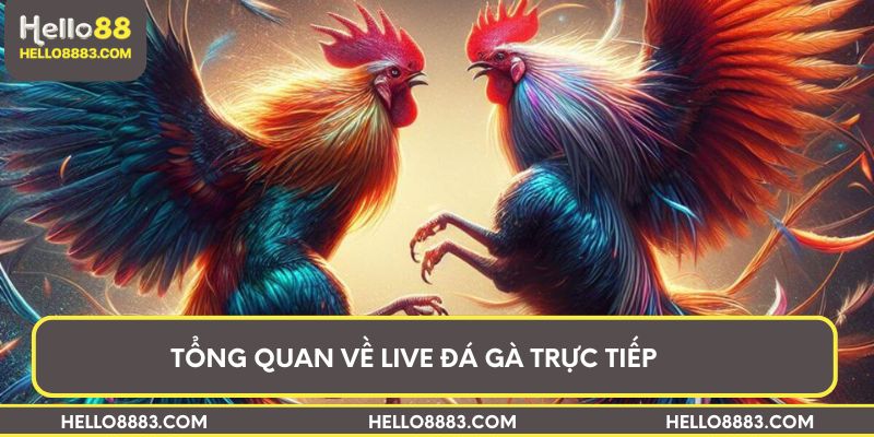 Tổng quan về live đá gà trực tiếp